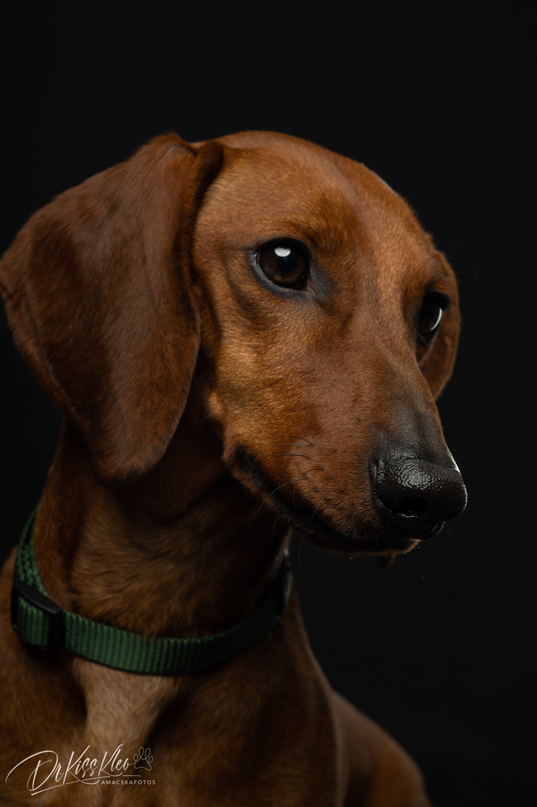 Bubu